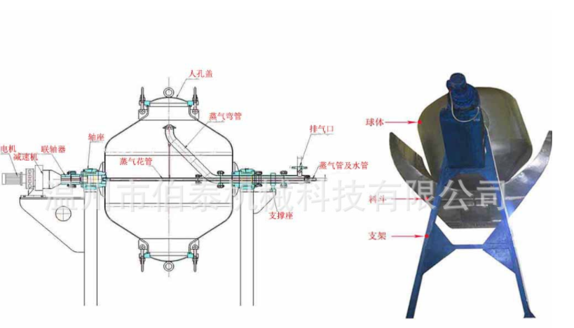 蒸球結構圖